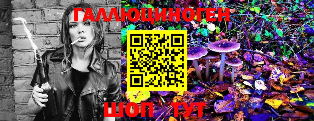 Галлюциногенные грибы Psilocybine cubensis  Галлюциногенные грибы Psilocybe  Вход с VPN  Владикавказ 